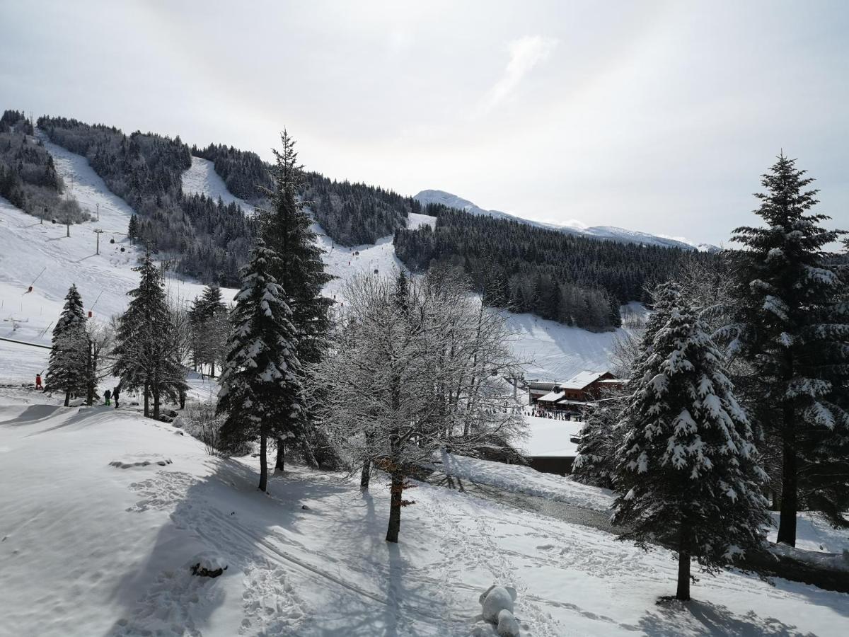 Le Balcon De Villard Екстер'єр фото